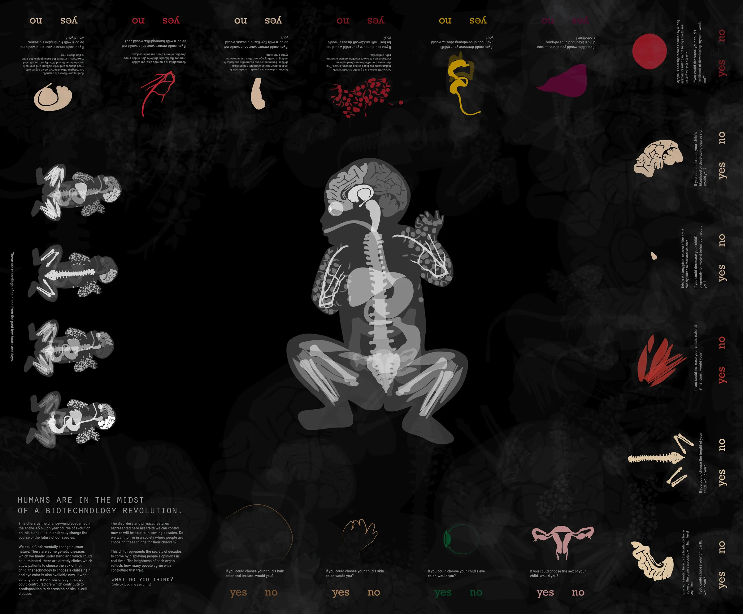 Complete Gene Editing Installation Overview