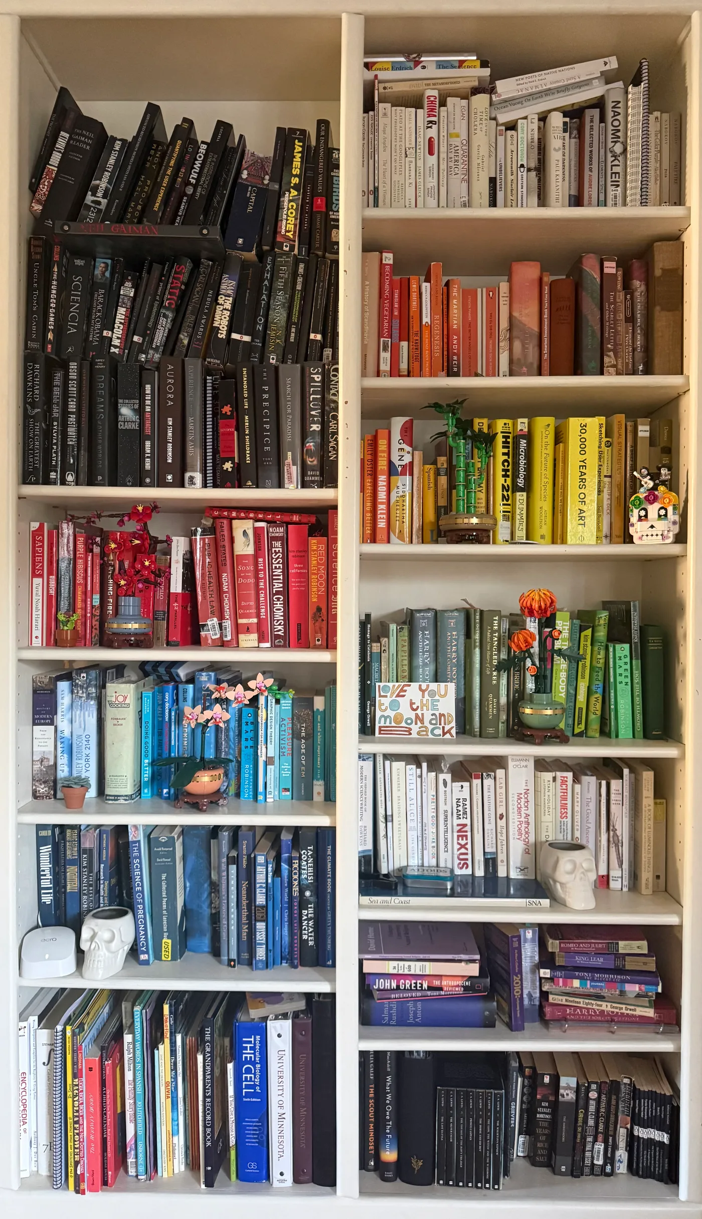 Two tall bookcases of paper books arranged by spine color — black shelves flowing into red, orange, yellow, green, blue, purple, and white — dotted with LEGO flowers and small skull planters