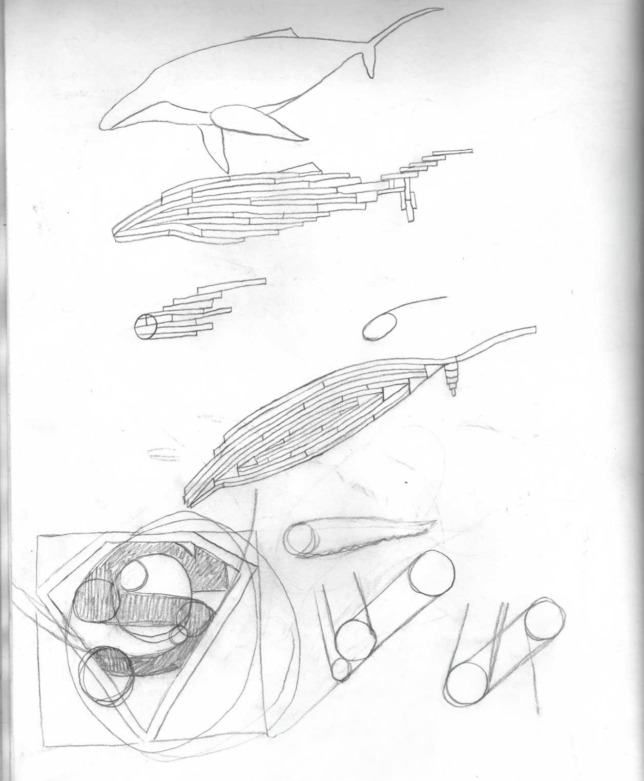 Whale Sketchbook Studies 1